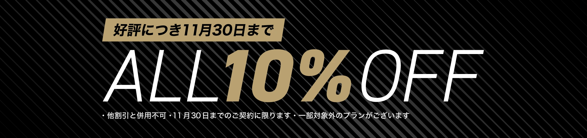 2025 11月限定 ALL 10%OFF