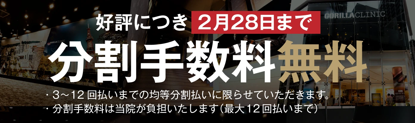 分割手数料 無料キャンペーン 0円