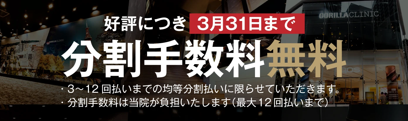 分割手数料 無料キャンペーン 0円