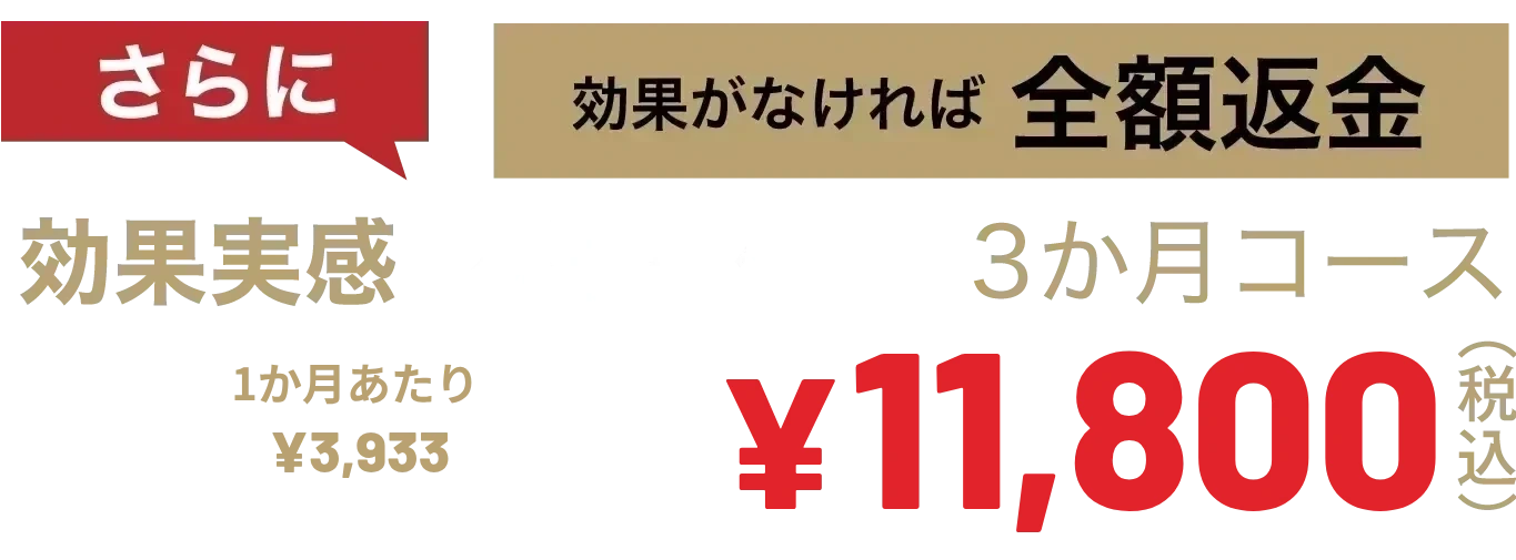 さらに効果実感【内服＋外用】3ヶ月コース
