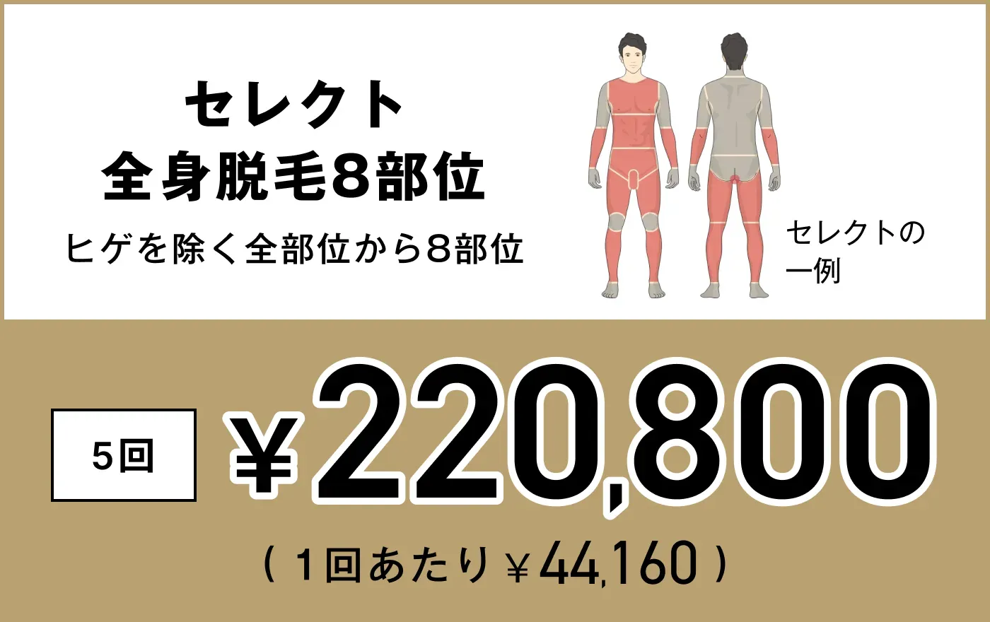 セレクト全身脱毛8部位 5回 220,800円