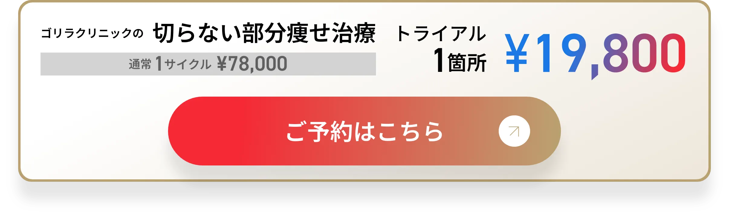 切らない部分痩せ治療 トライアル1箇所¥19,800 ご予約はこちら