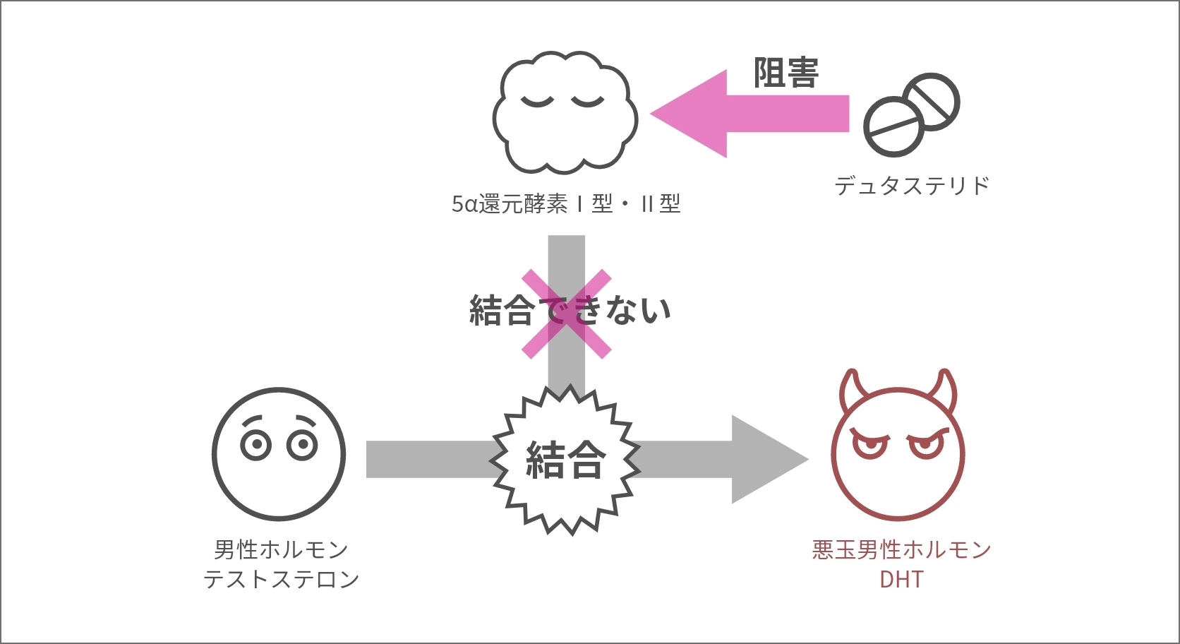 デュタステリドの作用