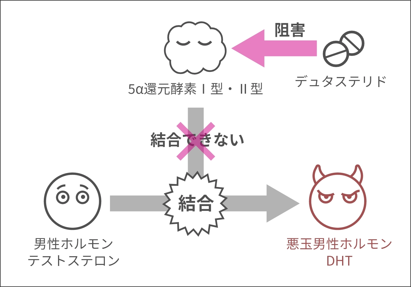 デュタステリドの作用