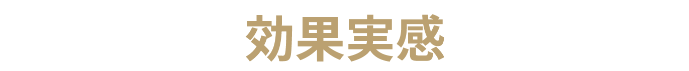 効果実感コースとは