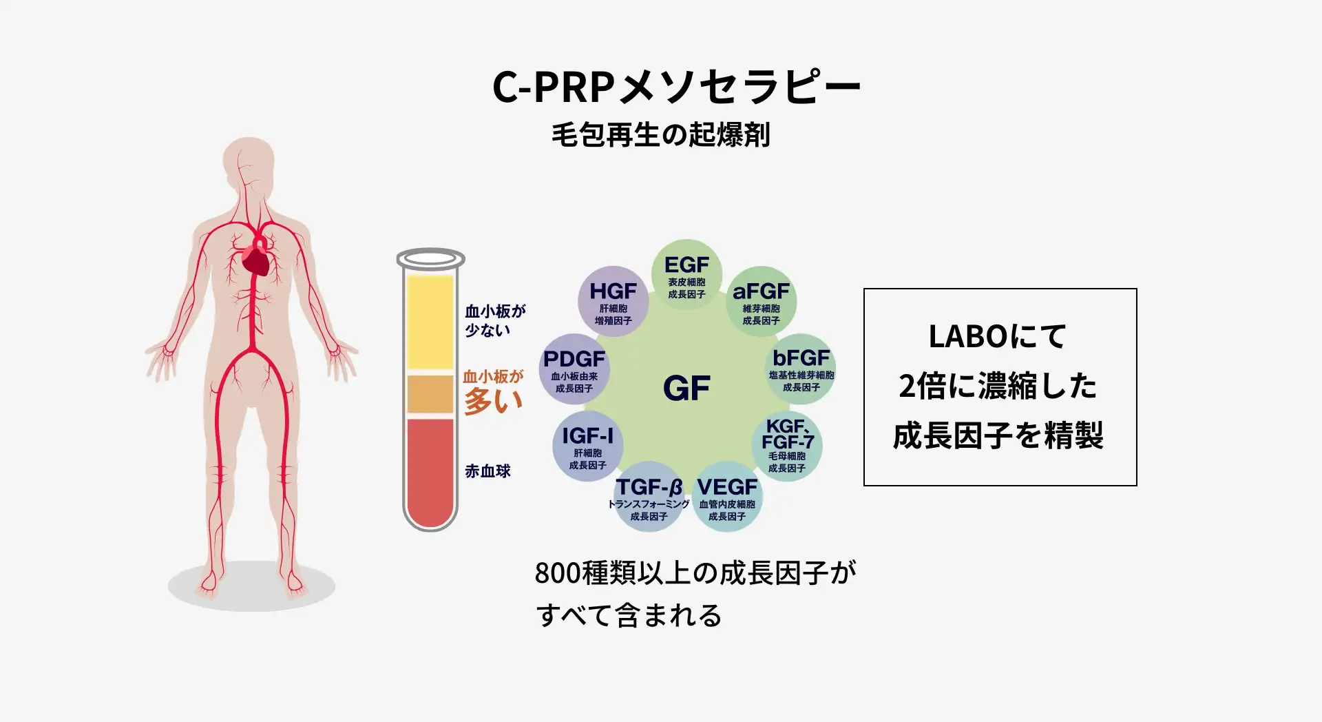 C-PRPメソセラピーの説明