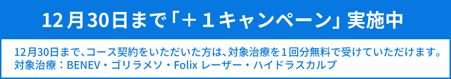 12月30日まで「+1キャンペーン」実施中