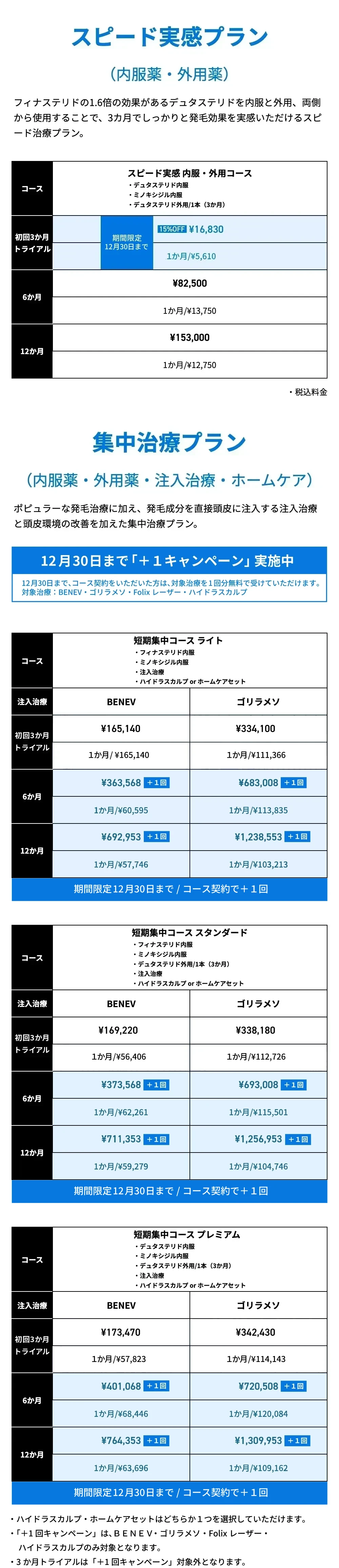 スピード実感プラン 集中治療プラン