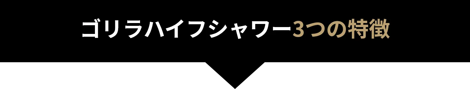 ゴリラハイフシャワー3つの特徴