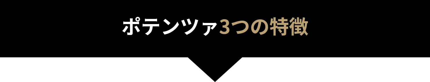 ポテンツァ3つの特徴