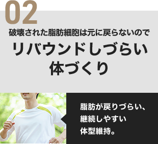 02 破壊された脂肪細胞は元に戻らないのでリバウンドしづらい体づくり 脂肪が戻りづらい、継続しやすい体型維持。