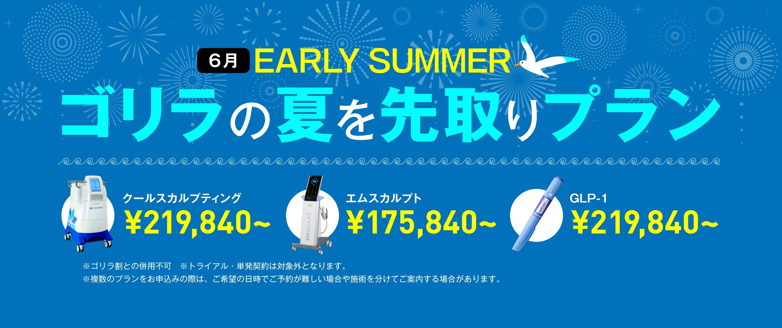 ゴリラの夏を先取りプラン