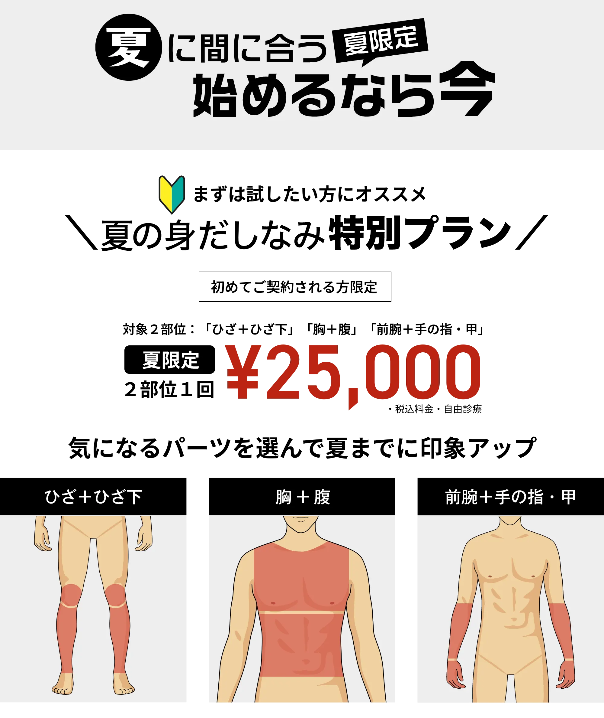 夏の身だしなみ特別プラン