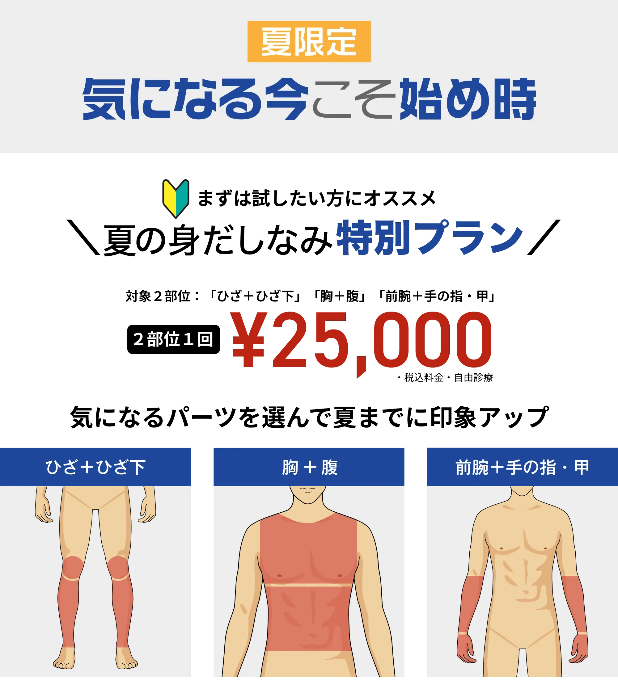 夏の身だしなみ特別プラン