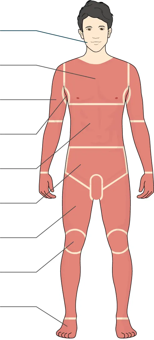 医療レーザーで脱毛可能な部位一覧