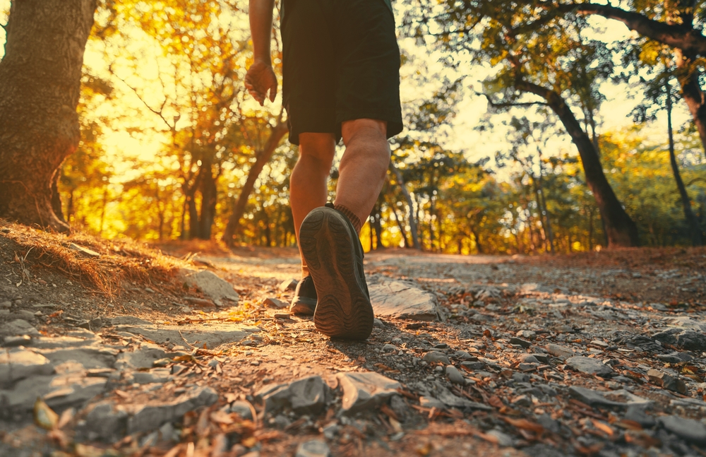 Mens,Foot,Steps,On,The,Forest,Trail