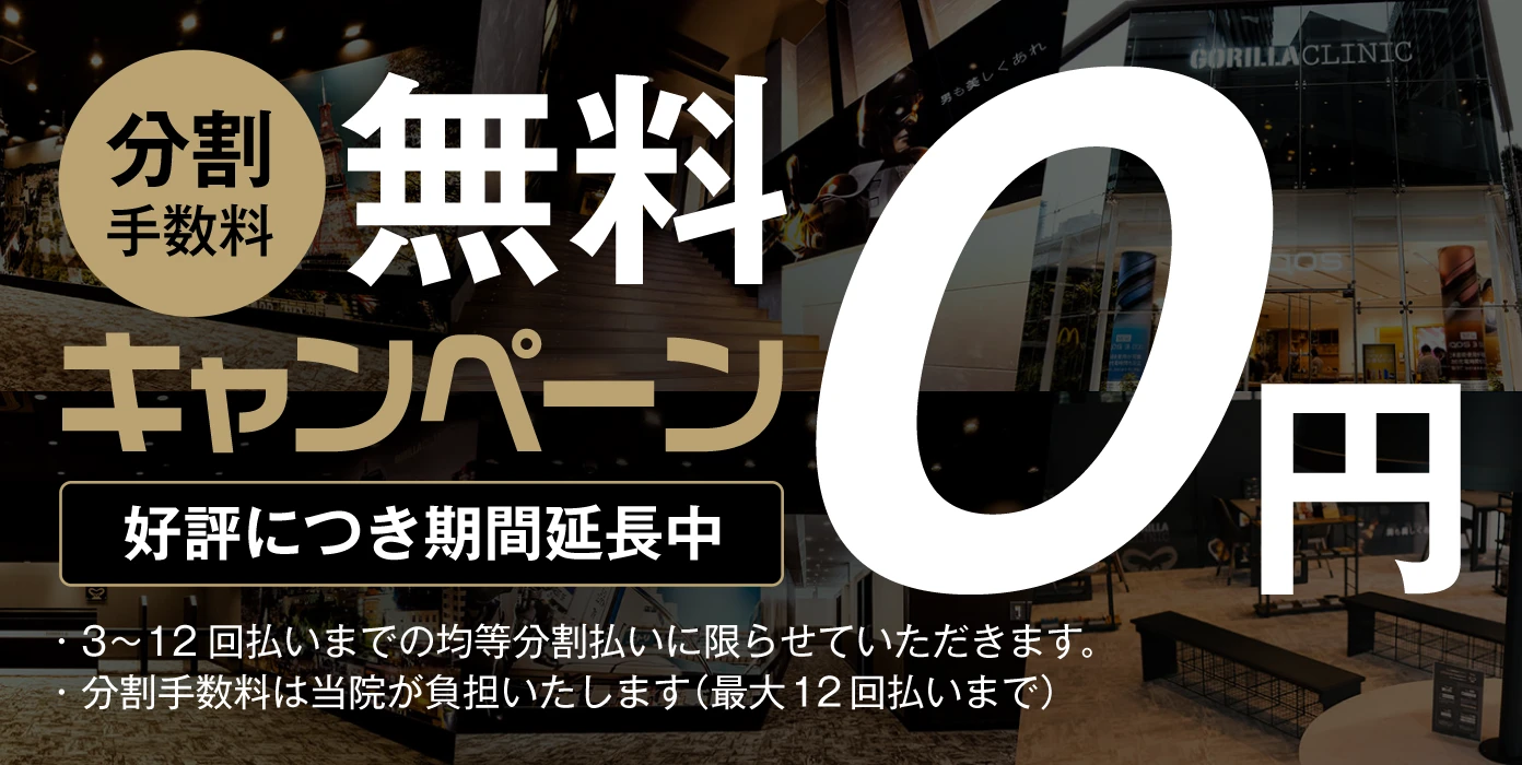 分割手数料無料キャンペーン