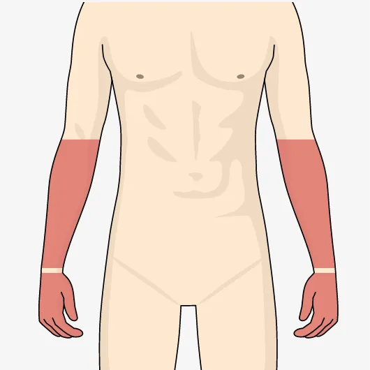 前腕+手の指・甲