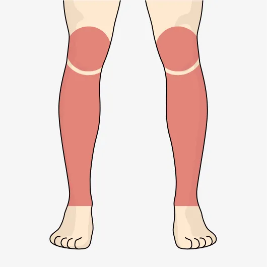 ひざ+ひざ下