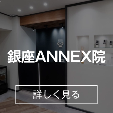 銀座ANNEX院