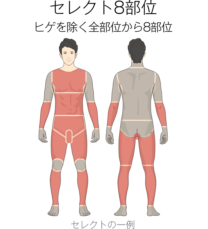 セレクト8部位