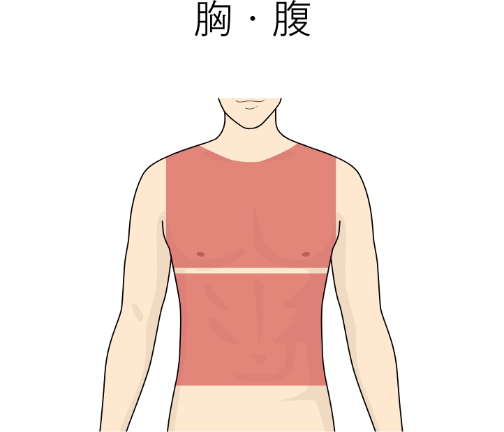 胸・腹