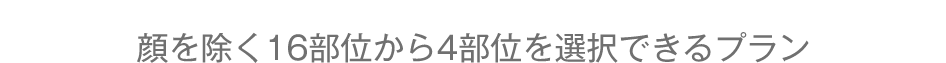 顔を除く16部位から4部位を選択できるプラン