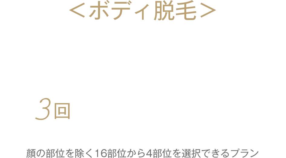 ボディ脱毛　セレクト全身脱毛８部位
