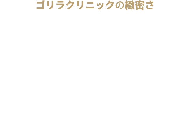 ゴリラクリニックの緻密さ