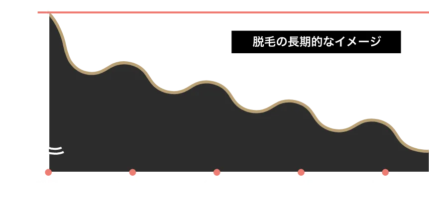 脱毛の長期的なイメージ