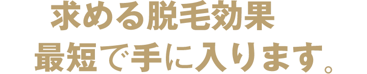 求める脱毛効果が最短で手に入ります