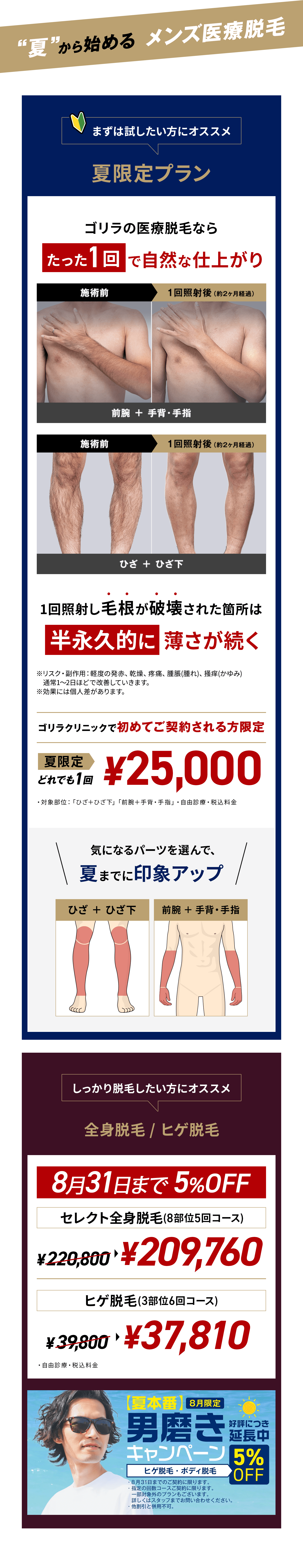 夏限定プラン