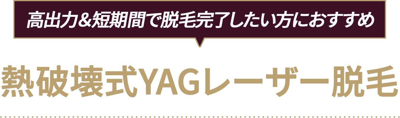 熱破壊式YAGレーザー脱毛