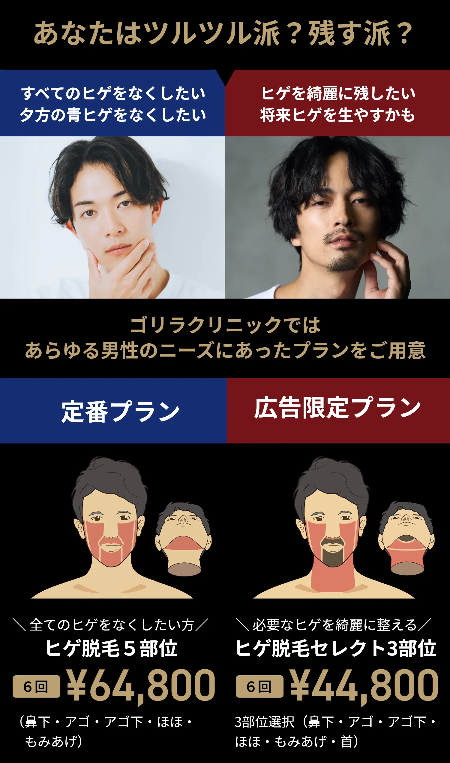 おすすめプラン