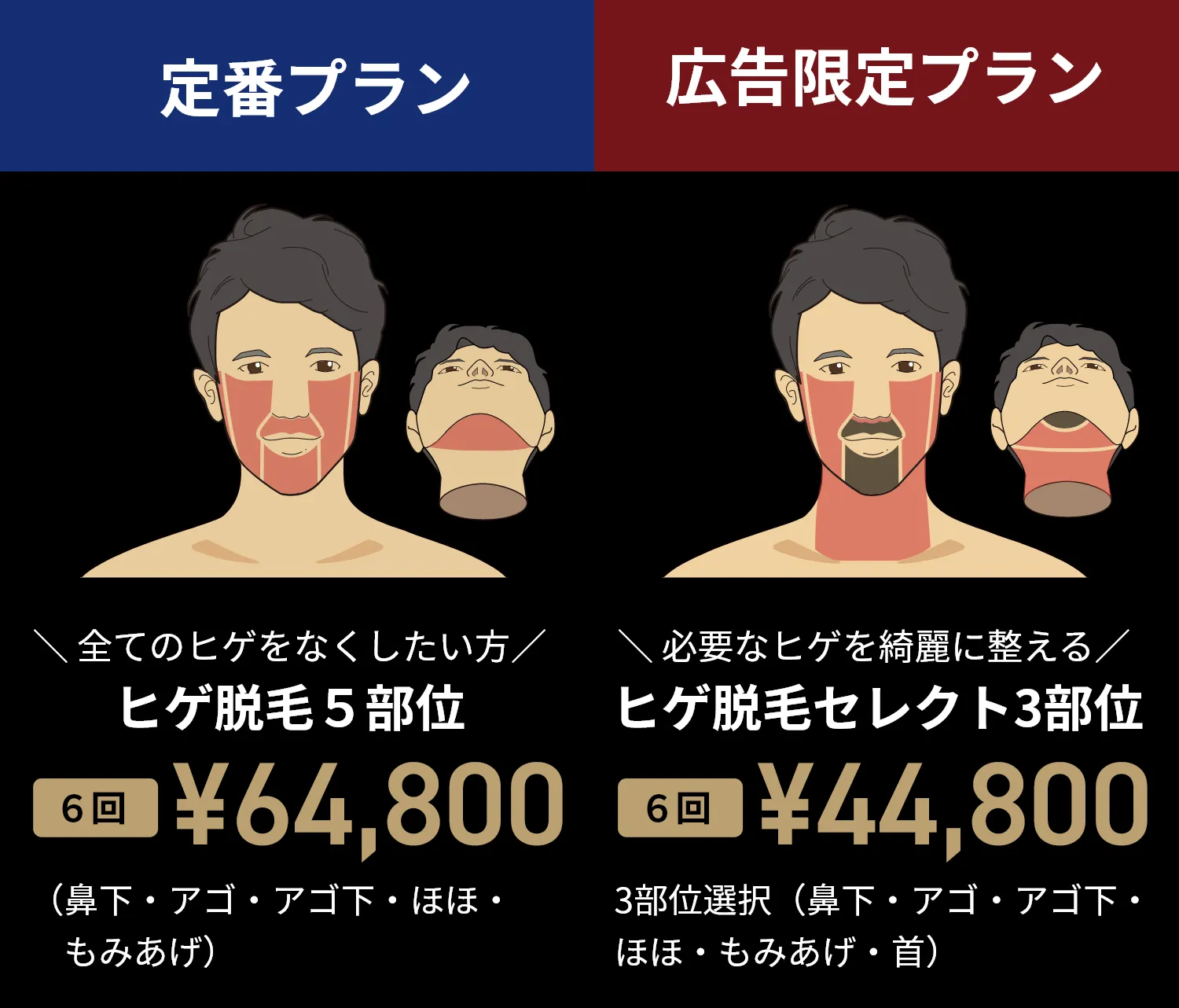おすすめプラン