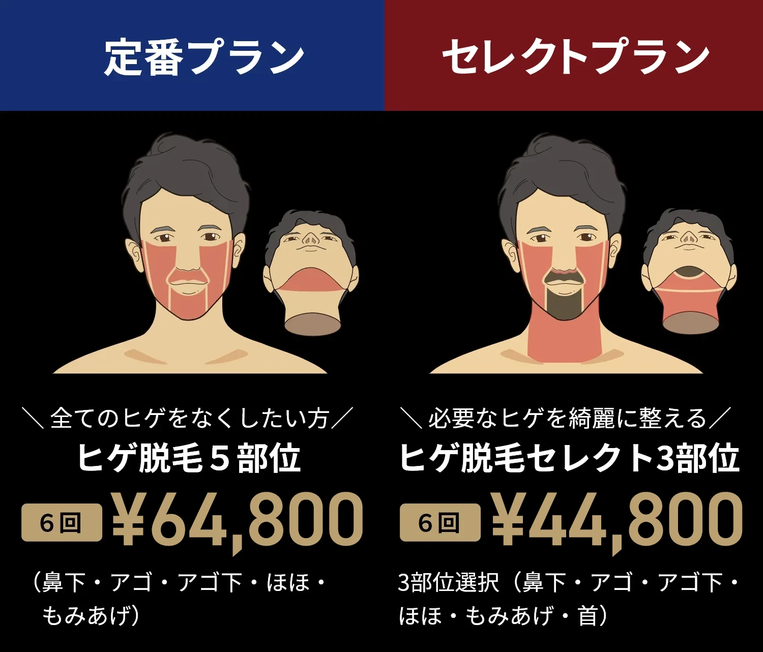 おすすめプラン