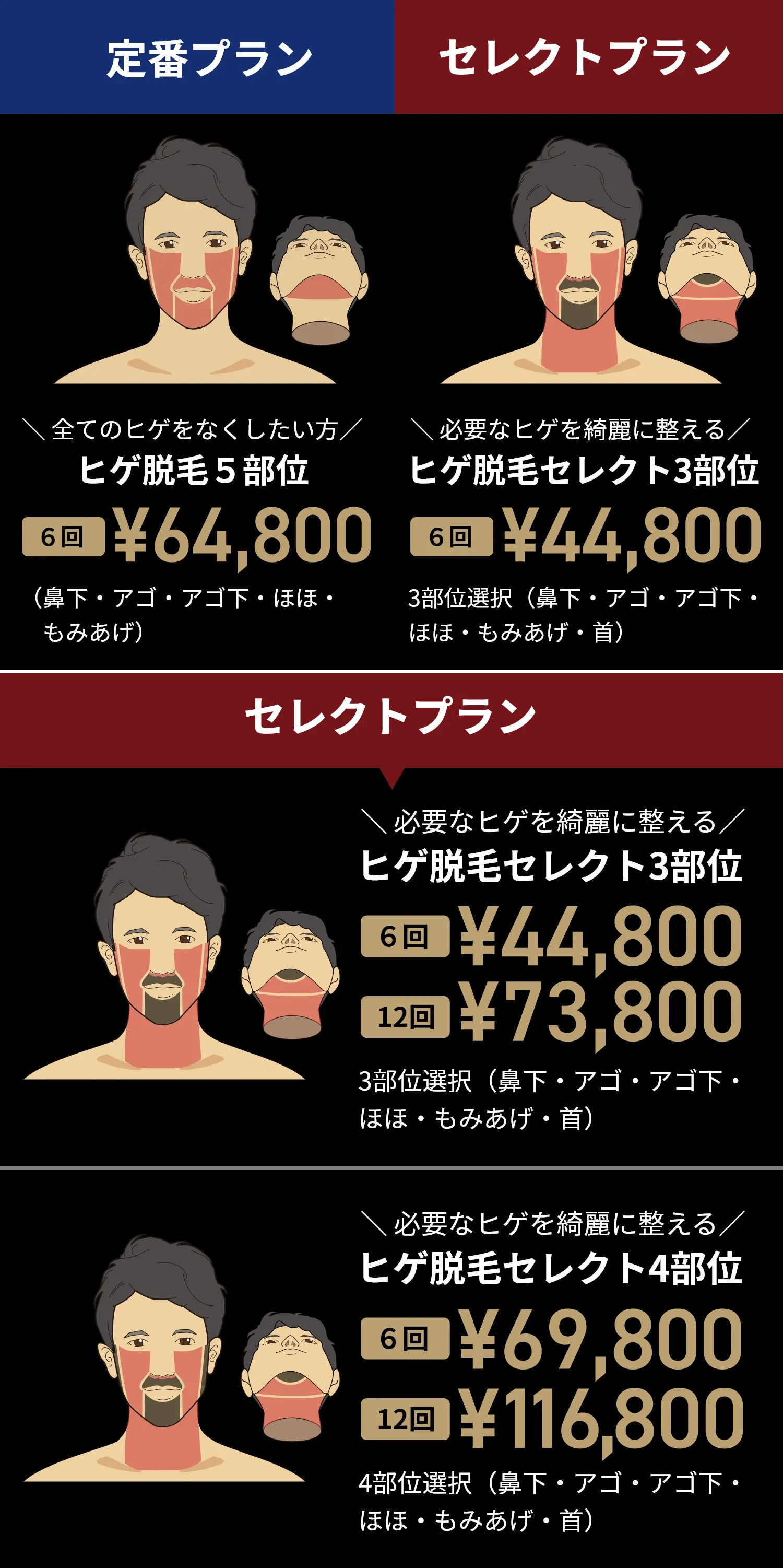 おすすめプラン