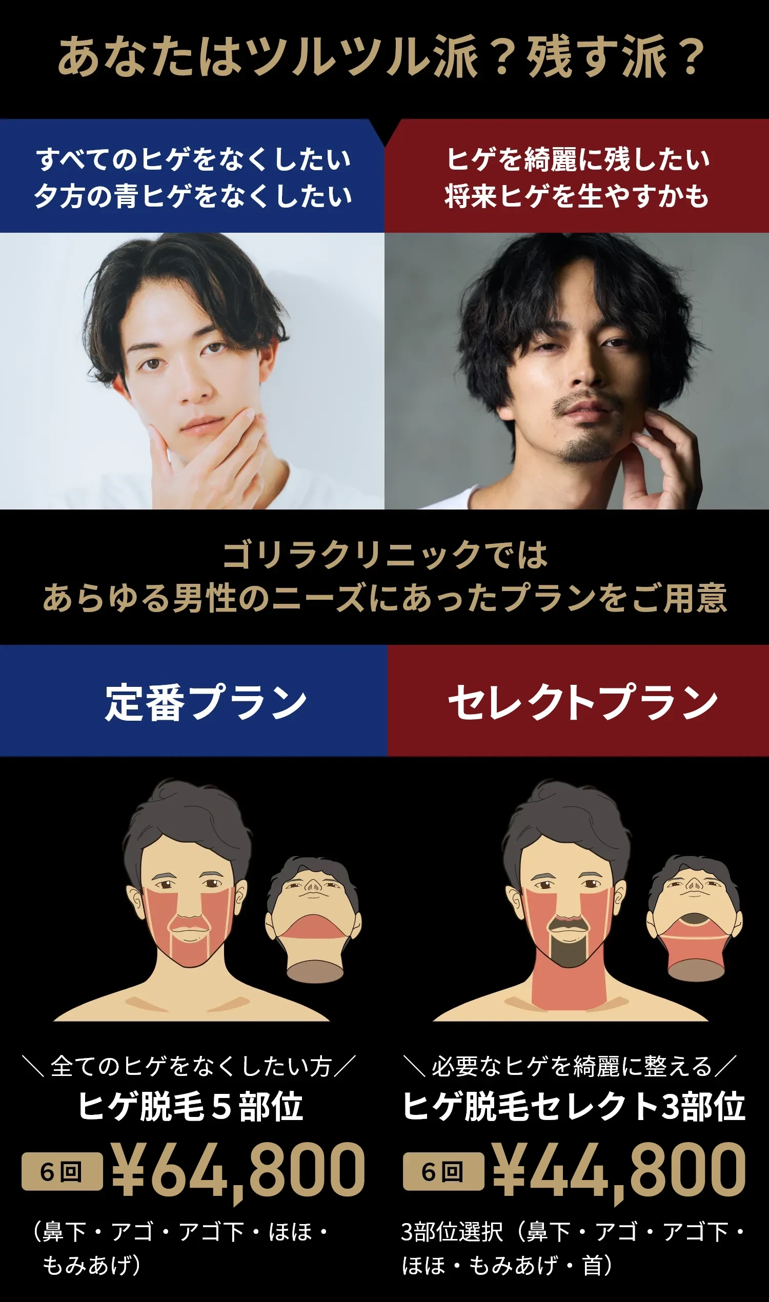 おすすめプラン