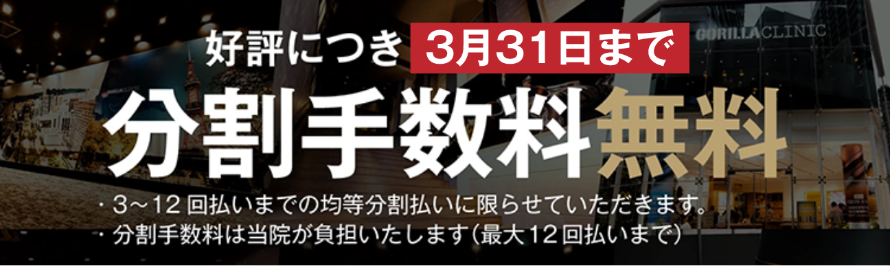 分割手数料無料