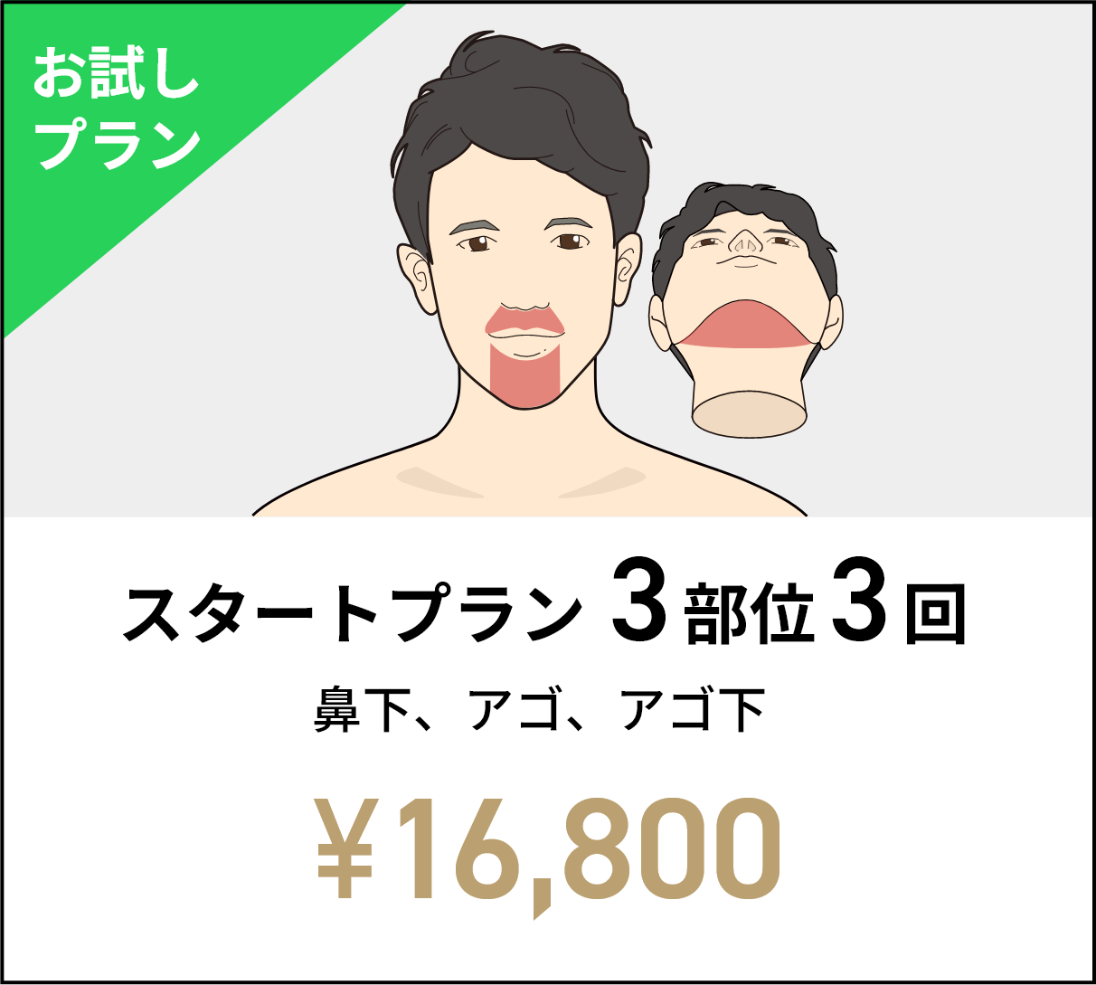 スタートプラン