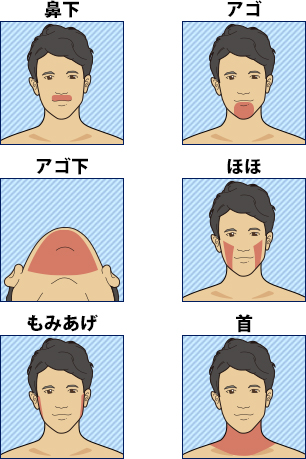 ヒゲ各部位のイラスト