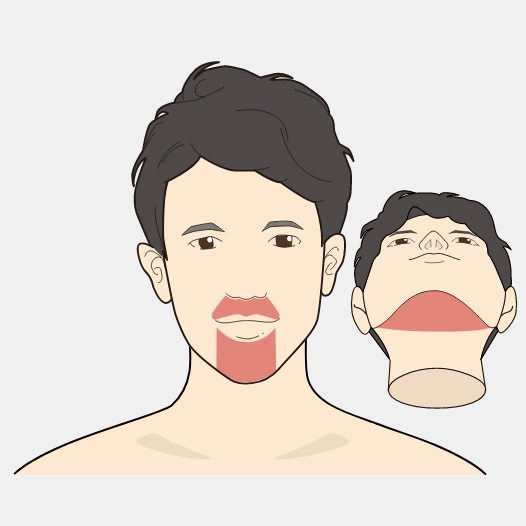 部位イメージ画像