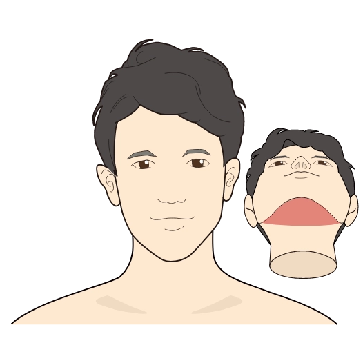 部位イメージ画像