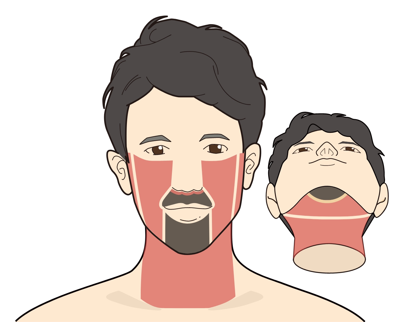 部位イメージ画像