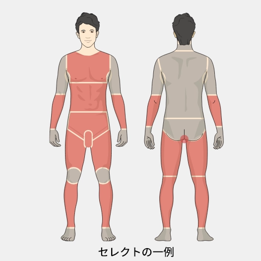 部位イメージ画像