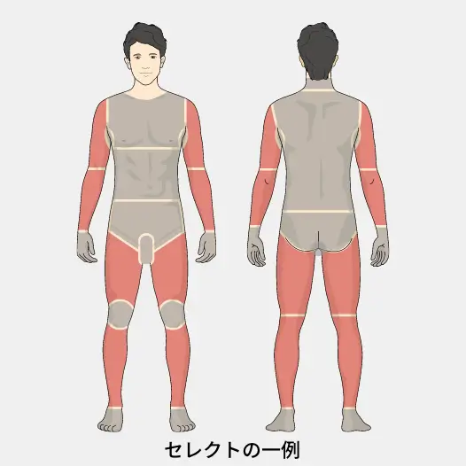 部位イメージ画像