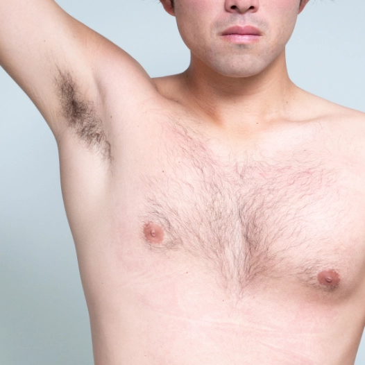 部位イメージ画像