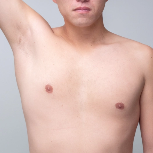 部位イメージ画像