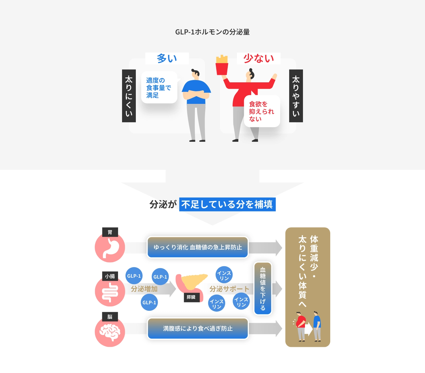 GLP-1ホルモンの分泌量