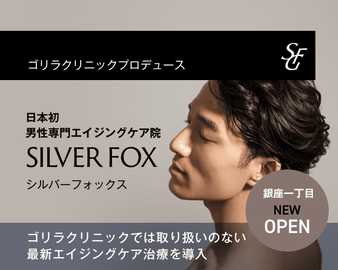 SilverFox東銀座院